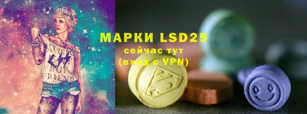 apvp Вяземский
