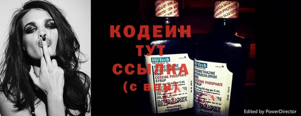 apvp Вяземский