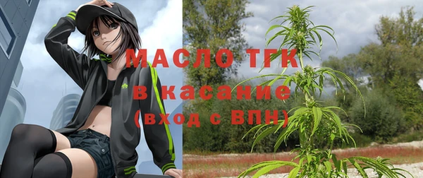 apvp Вяземский