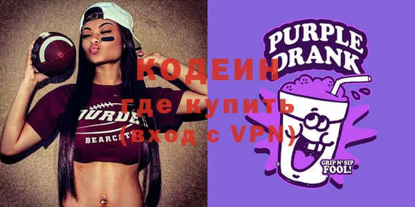 apvp Вяземский