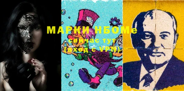 apvp Вяземский