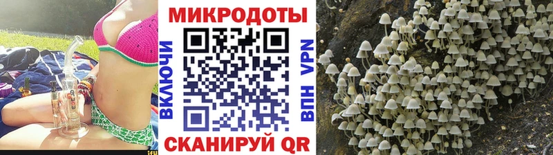 Галлюциногенные грибы мицелий  Купить закладки  Родники 